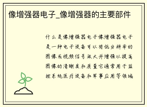 像增强器电子_像增强器的主要部件
